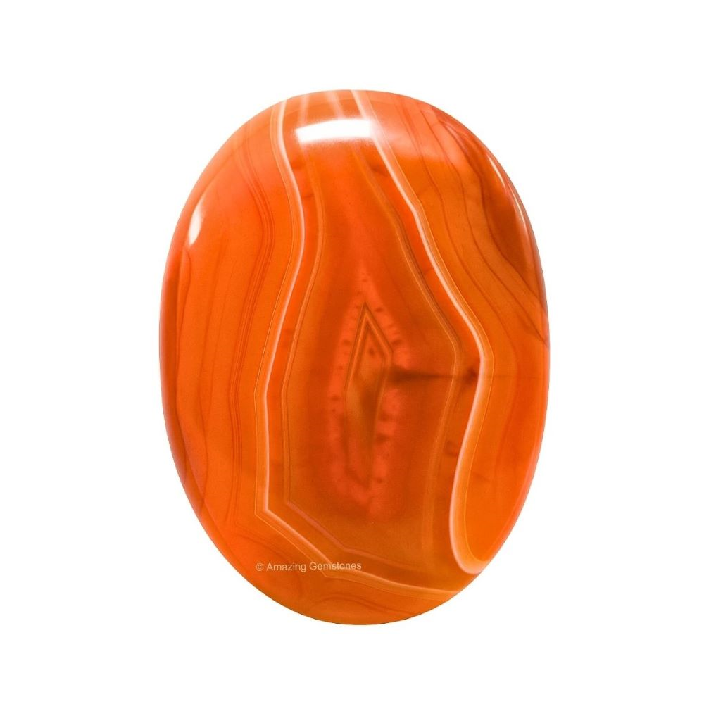 Carnelian Palm image 0