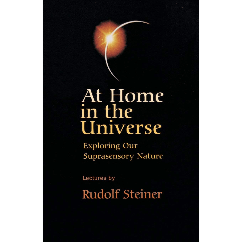 At Home in the Universe image 0