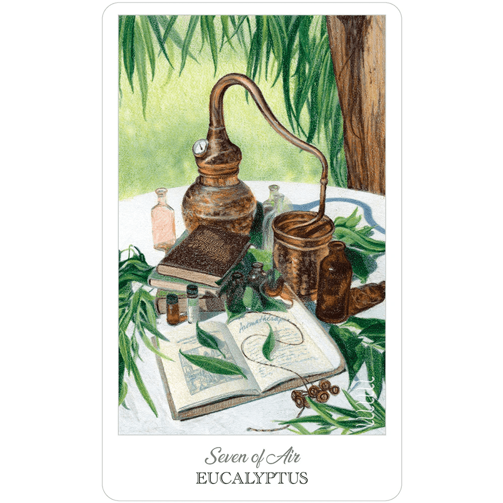 The Herbcrafter's Tarot image 3