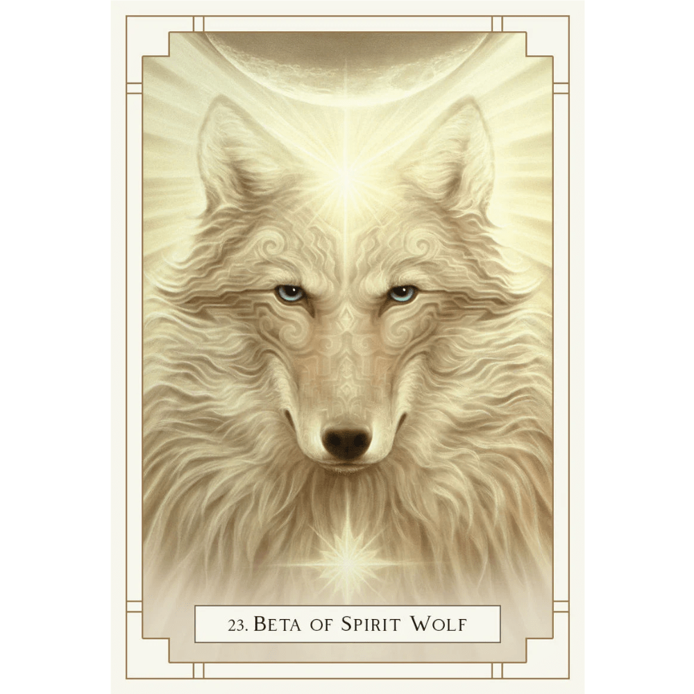 White Light Oracle image 7