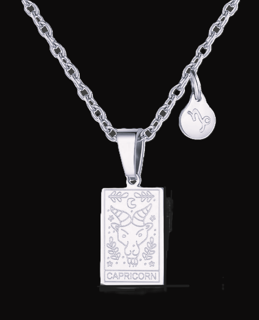 Capricorn Silver Tablet Necklace image 0