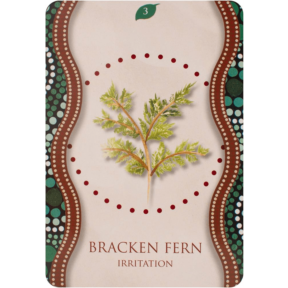 Aboriginal Healing Oracle image 3