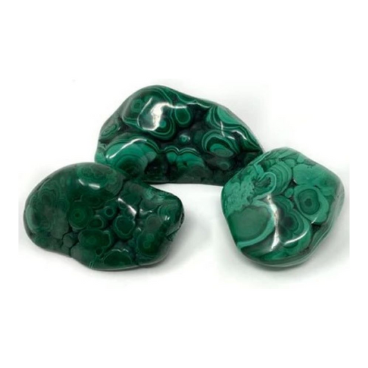 Malachite - Bold Transformer