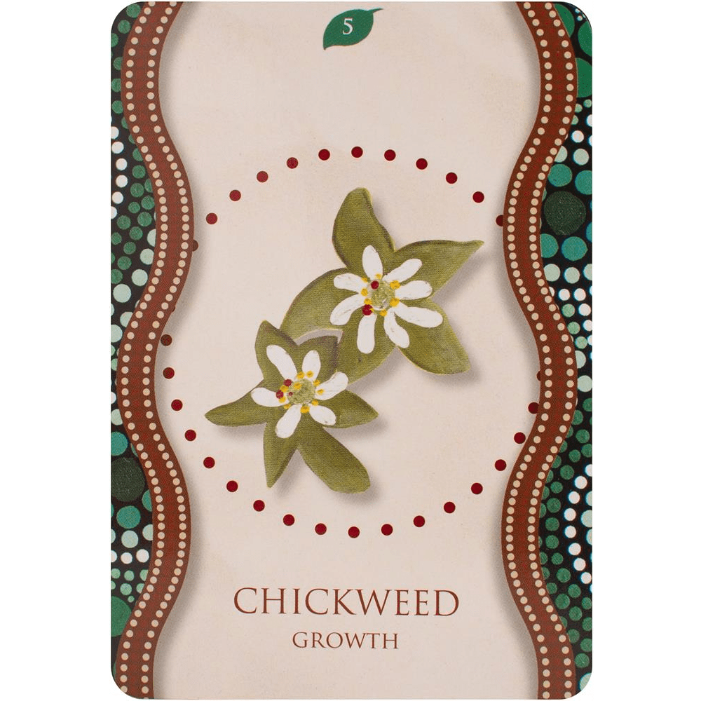 Aboriginal Healing Oracle image 1