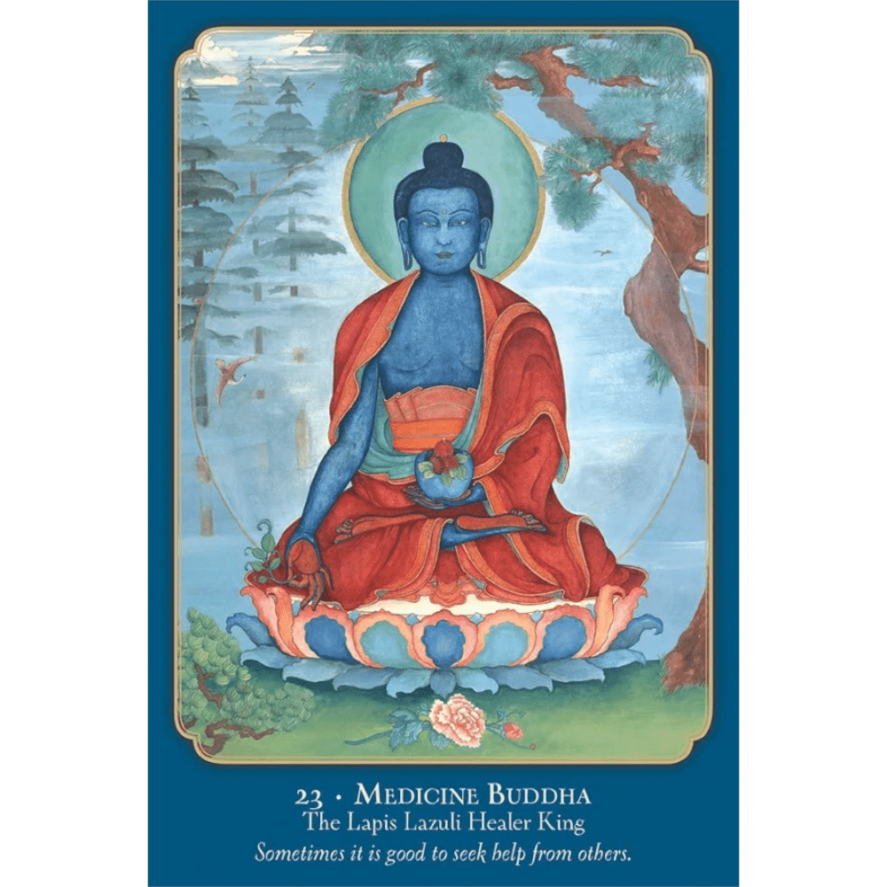 Buddha Wisdom Shakti Power image 4