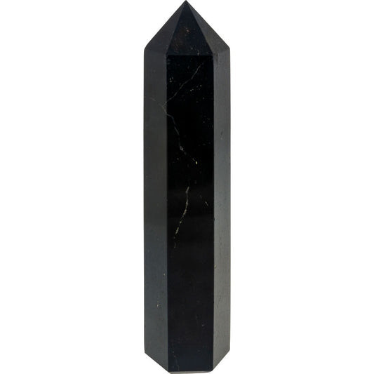 Black Tourmaline Pointer image 0