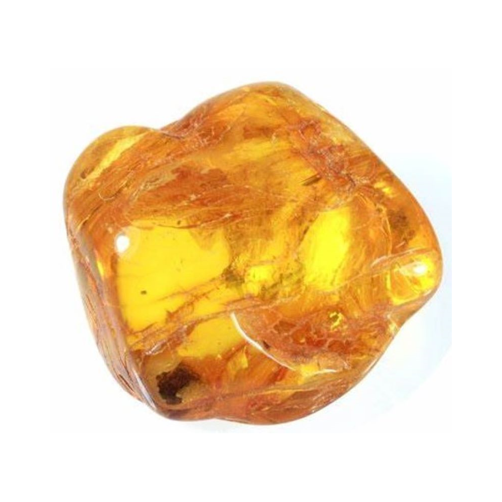 Amber Copal Ancient Sunlight