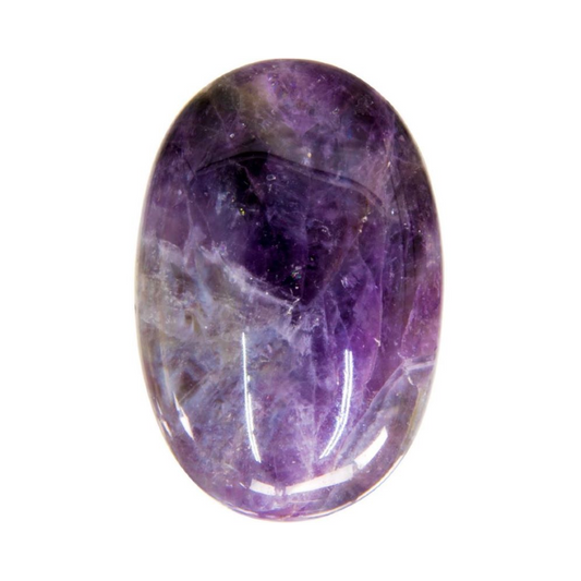 Amethyst Palm