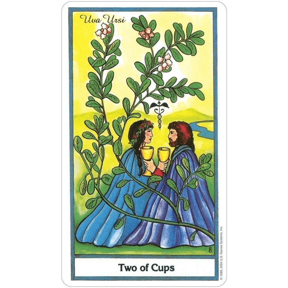 The Herbal Tarot image 3