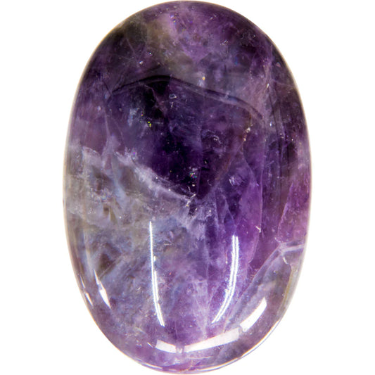 Amethyst Palm image 0