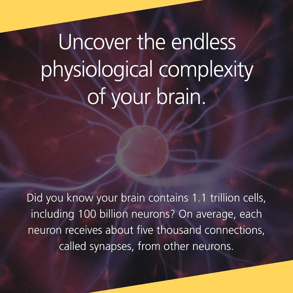 Buddha's Brain