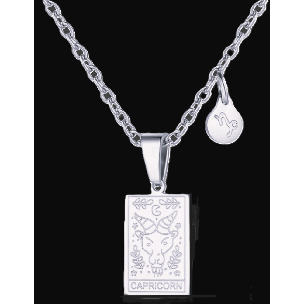 Capricorn Silver Tablet Necklace