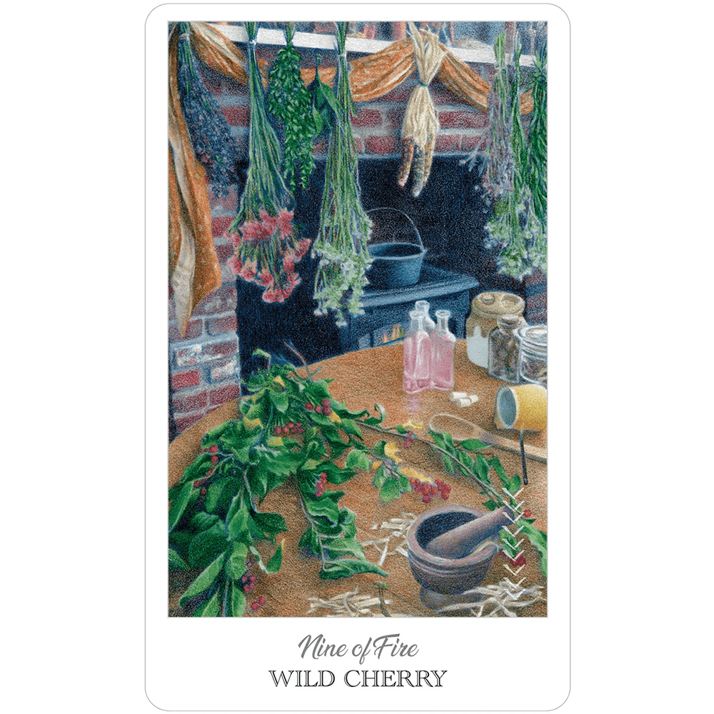 The Herbcrafter's Tarot image 6