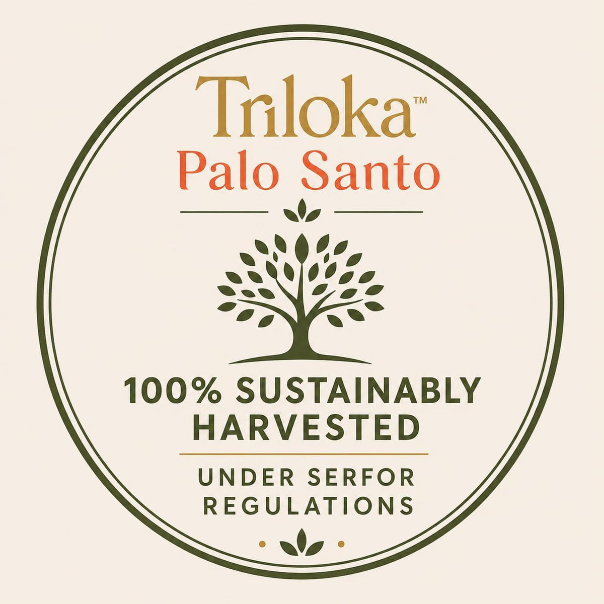 Palo Santo 5Pack