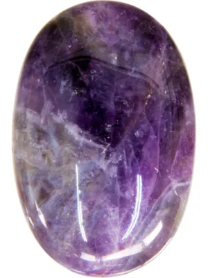 Amethyst Palm