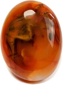 Carnelian Palm